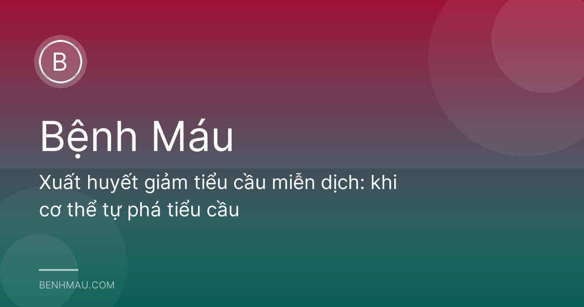 Xuất huyết giảm tiểu cầu miễn dịch: khi cơ thể tự phá tiểu cầu